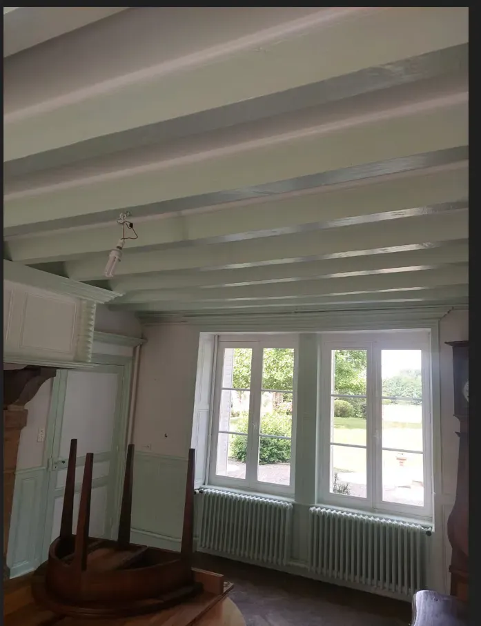 renovation interieur peinture plafond à Bourg-en-Bressewebp